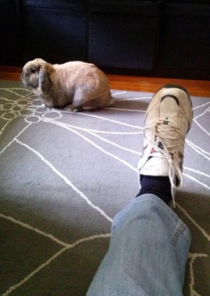 10291082_10204397344961138_2756944275859619718_n