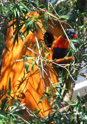 14184316_10209455337207783_3401689417037234898_n