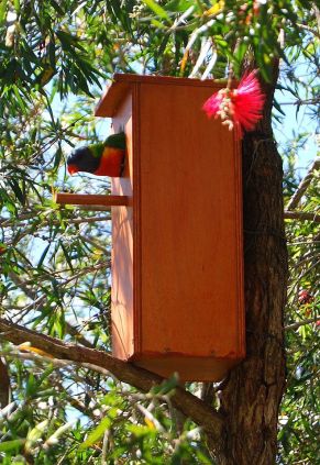 14242343_10209455334127706_2408382715844665520_o