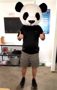 18198559_10212039635573717_1069365184787192618_n